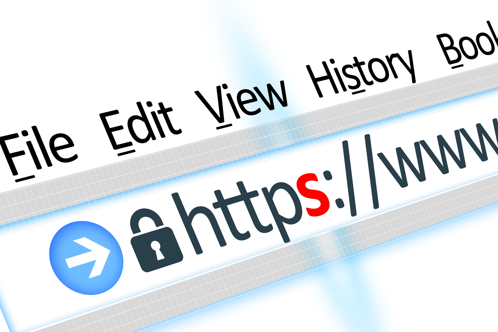 Secured connection link web browser detail